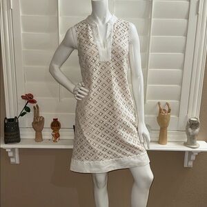 Eliza J Lacework Shift Dress
